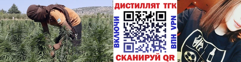 продажа наркотиков Кореновск Дистиллят ТГК вейп с тгк